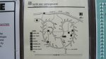 Map of the North Star Campground.