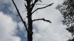 Click to enlarge Boundary Waters Canoe Area, Minnesota, United States.