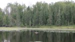 Click to enlarge Boundary Waters Canoe Area, Minnesota, United States.