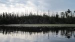 Click to enlarge Boundary Waters Canoe Area, Minnesota, United States.