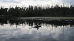 Click to enlarge Boundary Waters Canoe Area, Minnesota, United States.