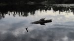 Click to enlarge Boundary Waters Canoe Area, Minnesota, United States.