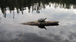 Click to enlarge Boundary Waters Canoe Area, Minnesota, United States.
