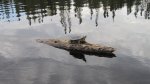 Click to enlarge Boundary Waters Canoe Area, Minnesota, United States.