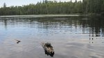 Click to enlarge Boundary Waters Canoe Area, Minnesota, United States.