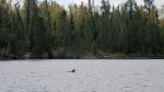 Click to enlarge Boundary Waters Canoe Area, Minnesota, United States.