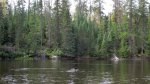 Click to enlarge Boundary Waters Canoe Area, Minnesota, United States.