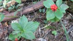 Click to enlarge Boundary Waters Canoe Area, Minnesota, United States.