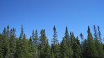 Click to enlarge Boundary Waters Canoe Area, Minnesota, United States.