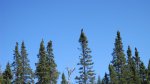 Click to enlarge Boundary Waters Canoe Area, Minnesota, United States.