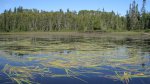 Click to enlarge Boundary Waters Canoe Area, Minnesota, United States.