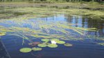Click to enlarge Boundary Waters Canoe Area, Minnesota, United States.