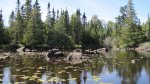 Click to enlarge Boundary Waters Canoe Area, Minnesota, United States.