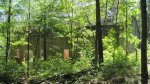 Banning State Park, Minnesota, United States. Looking at the Power House ruins through the trees.