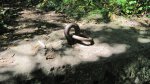 Click to enlarge Banning State Park, Minnesota, United States. These rings were used as anchors so they could pull large pieces of stone onto the cutting area.