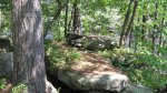 Banning State Park, Minnesota, United States. Looking at the Kettle River from the trail.
