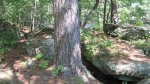 Banning State Park, Minnesota, United States. The Quarry Trail.