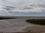 Big Bog State Rec Area, Minnesota, United States. Swimming Beach.  There is parking as well as shoreline fire pits with cooking grates, vault toilets, picnic tables, and a picnic shelter.