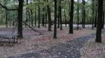 Click to enlarge Charles A. Lindbergh State Park, Minnesota, United States. Picnic area and playground.