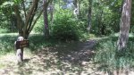 Click to enlarge Crow Wing State Park, Minnesota, United States. Trail to the river.