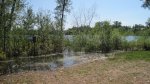 Cuyuna Country Rec Area, Minnesota, United States. 