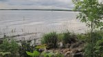 Father Hennepin State Park, Minnesota, United States. Mille Lacs lake.