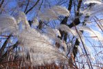 Fort Ridgely State Park, Minnesota, United States. This park has very nice scenery with several overlooks on the trails.