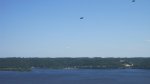 Frontenac State Park, Minnesota, United States. No sooner had we read the signs about the bald eagles, and two of them swooped right in front of us!