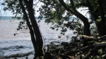 Click to enlarge Frontenac State Park, Minnesota, United States. Lake Pepin.