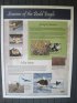 Frontenac State Park, Minnesota, United States. Seasons of the Bald Eagle.