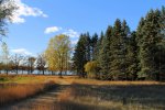 Click to enlarge Glendalough State Park, Minnesota, United States. Beautiful Trails in Glendalough State Park
