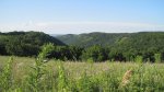 Great River Bluffs State Park, Minnesota, United States. View from the car as we left the park.