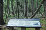 Hayes Lake State Park, Minnesota, United States. Bog walk sign