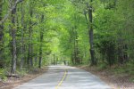 Click to enlarge Tishomingo State Park, Mississippi, United States.