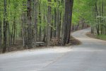 Click to enlarge Tishomingo State Park, Mississippi, United States.