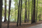 Click to enlarge Tishomingo State Park, Mississippi, United States.