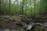 Click to enlarge Tishomingo State Park, Mississippi, United States.