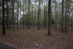 Click to enlarge Tishomingo State Park, Mississippi, United States.