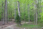 Click to enlarge Tishomingo State Park, Mississippi, United States.