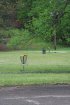Click to enlarge Tishomingo State Park, Mississippi, United States. Disc golf in day use.
