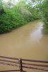 Click to enlarge Tishomingo State Park, Mississippi, United States. River view from swinging bridge.