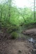 Click to enlarge Tishomingo State Park, Mississippi, United States. Stream running through hiking trail.