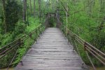 Click to enlarge Tishomingo State Park, Mississippi, United States. Swinging bridge.