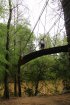Click to enlarge Tishomingo State Park, Mississippi, United States. Swinging bridge.
