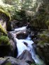 Click to enlarge Glacier National Park, Montana, United States. Avalanche Creek
