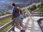 Click to enlarge Glacier National Park, Montana, United States. Hidden Lake overlook.
