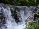 Click to enlarge Glacier National Park, Montana, United States. Waterfalls
