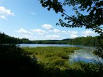 Click to enlarge Bear Brook State Park, New Hampshire, United States. Big Largemouth Bass in this pond!