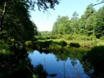 Click to enlarge Bear Brook State Park, New Hampshire, United States.