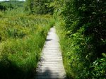 Click to enlarge Bear Brook State Park, New Hampshire, United States. This is a trail that goes around Beaver Pond. It is an easy, three mile, family friendly trail.